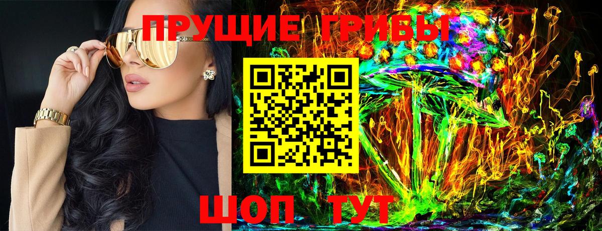 Галлюциногенные грибы мицелий  Галлюциногенные грибы MAGIC MUSHROOMS  где купить наркоту  Вход с VPN  Михайловка 