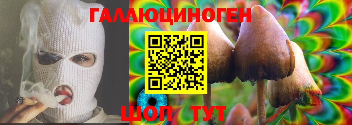 Псилоцибиновые грибы ЛСД Михайловка