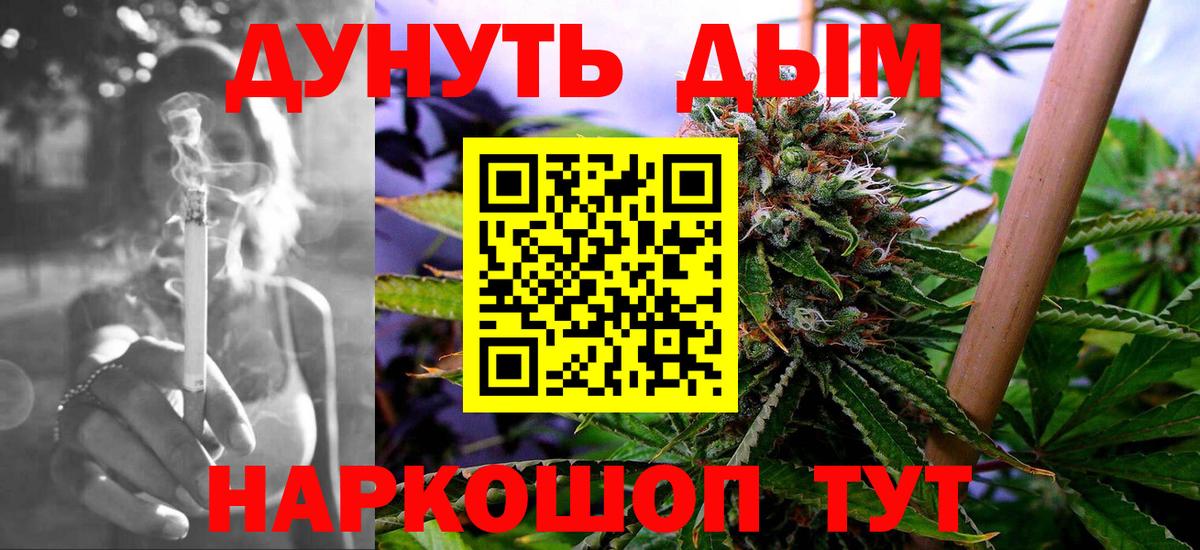 Канабис сатива Михайловка